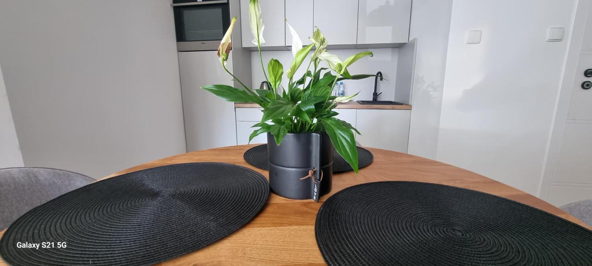 Apartament Moje Dabrowno Exteriér fotografie